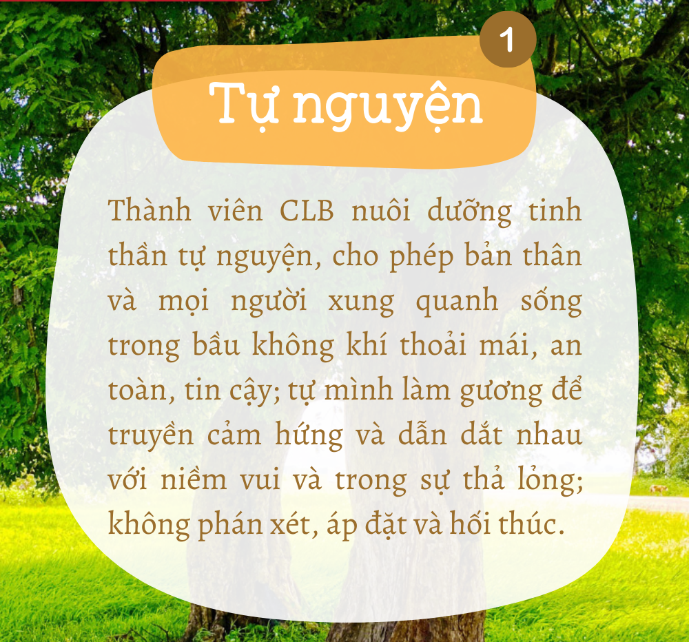 Tuần giá trị #05: TỰ NGUYỆN