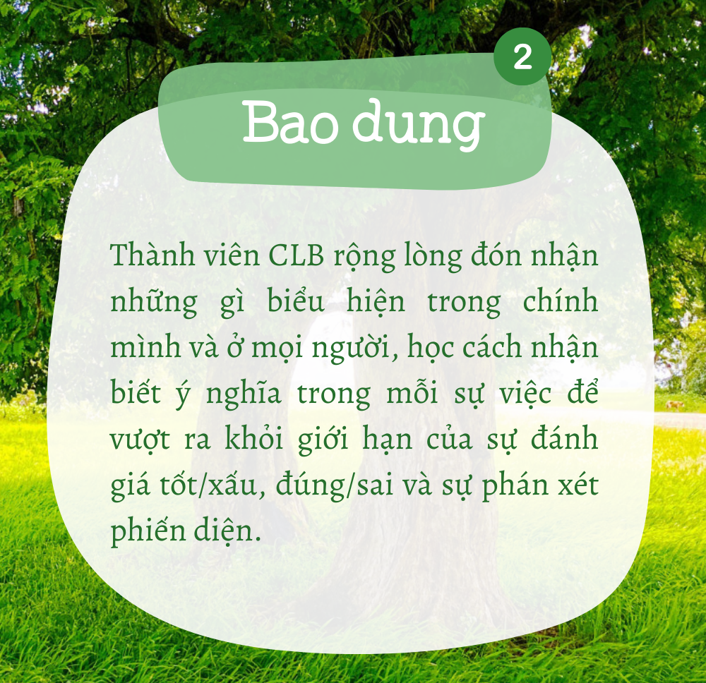 Tuần giá trị #06: BAO DUNG